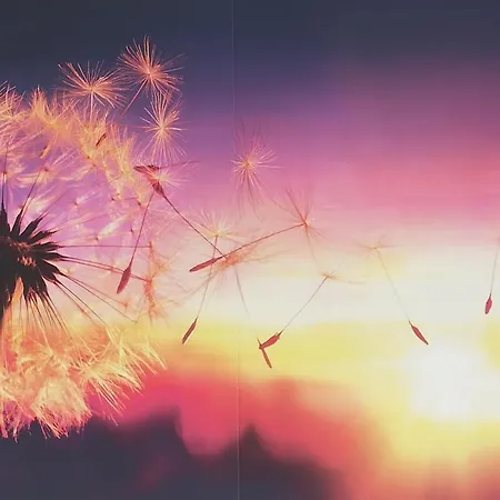 S.e.v. Sunset Homes 公寓