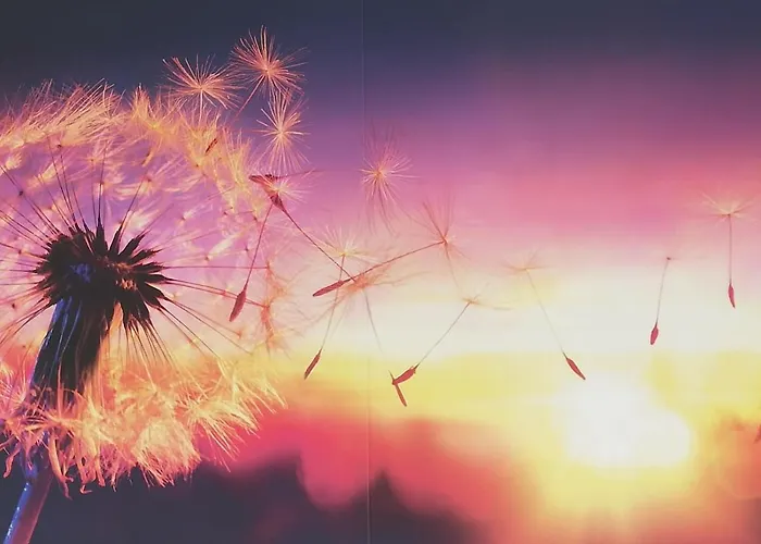 S.e.v. Sunset Homes Appartamento